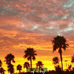 Cheryl Kimble - @cheryl_worrell - Instagram