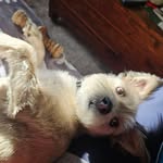 Cheryl Wulff - @cherylwulff - Instagram