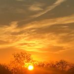 Cheryl Wunderlich - @wundercheryl - Instagram