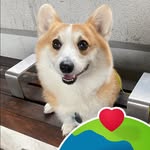 Cheryl Yim - @yim.cheryl - Instagram