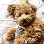 Cheryl Yip - @cheryl_yip - Instagram
