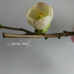 Cheryl Yu - @craftingcolors - Instagram