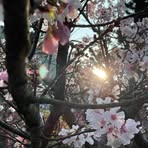 Cheryl Yu - Facebook