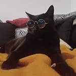Chester Adams - @bubu.malgersdorf - Instagram