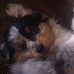Chester Adams - @adams_chester - Instagram