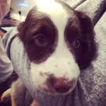 Chester - @mr_chester_armstrong - Instagram