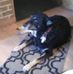 Chester Braun - Facebook