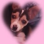 Chester Calderón - @chester182512 - Instagram