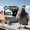 chester loft tv🕊️🏹 - @chestercalderon25 - TikTok
