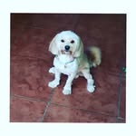 •Chester Calderón Arce• - @chestercalderonarce64 - Instagram