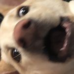 Carson Chester - @carsonchester01 - Instagram