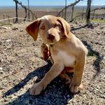 Chester Chapman - @win.chester.22 - Instagram