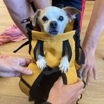 Chester Petty Chavez - @ourlittleman_chester - Instagram