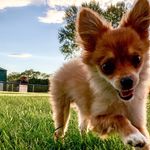 Chester Prue - @chester_chavezz - Instagram