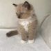 Chester Chin - Facebook