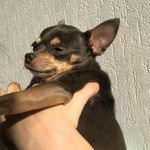 @chester_ching_ - Instagram