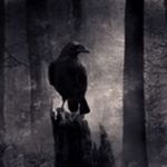 Chester Crow - @chestercuervo - Instagram