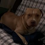d - @chesterduke7 - Instagram