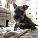 Chester Sirius Gregory - @chester_sirius_gregory - Instagram