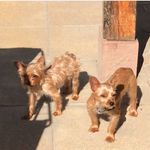 ÇHÊ§ŤÊŘ Ý ĞŘĒĞÓŘÝ - @chester_y_gregory - Instagram
