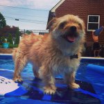 Chester Howard Maag - @ches_bombs2 - Instagram