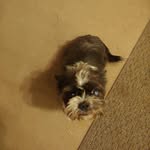 Chester Merrell - @merrell.chester - Instagram