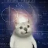 Chester Morrison - @chester.morrison7 - TikTok
