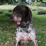 Chester & Moss Campbell - @chesterchum - Instagram