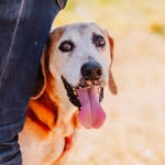 Chester Ebenezer Murray - @chesterebenezer - Instagram