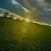 Chester Murray - @chester.murray3 - TikTok