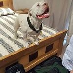 Chester Roberts - @chester231112 - Instagram