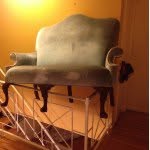 Rutherford Chesterfield - @rutherford_chesterfield - Instagram