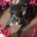 Chet Singleton - Facebook