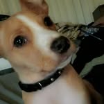 Chester Spencer - @chesterdanielspencer - Instagram