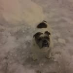 Chester Spencer - @chester.spencer.5 - Instagram