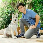Chester The Wolf - @chester.thewolf - Instagram