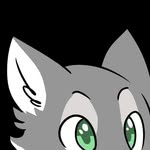 chesterwolf 🐺 - @alpha.wolf255 - Instagram