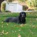 Chet Burton - Facebook