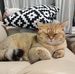 Cheuk Cheuk Wong - Facebook