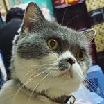 Cheuk Ying Wong - @cheukyingwongwong - Instagram