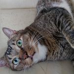 Cheuk Yuet WONG - @chikywong - Instagram