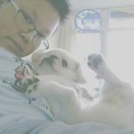 Yung Cheuk Heng - @yungcheukheng - Instagram