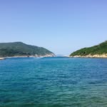 Cheung Law - @cheunglaw - Instagram