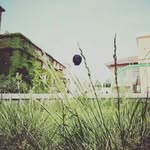 Cheung Law - @law.cheung - Instagram