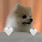 Cheunglaw Mingyan - @cheunglaw_mingyan - Instagram