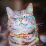Cheung Chung - @cheung.poon.948 - Instagram