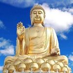 Cheung Poon - @cheung.poon.94 - Instagram