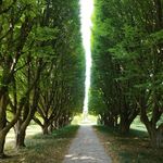 cheungpoonwang - @cheungpoonwang - Instagram