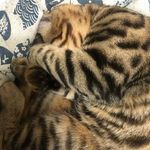 Yik Cheung Poon - @sunnnnn0910 - Instagram