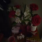 Schevelle Johnson - Facebook